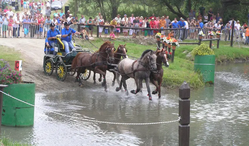 Aliz Villa Szilvsvrad - Hsvt