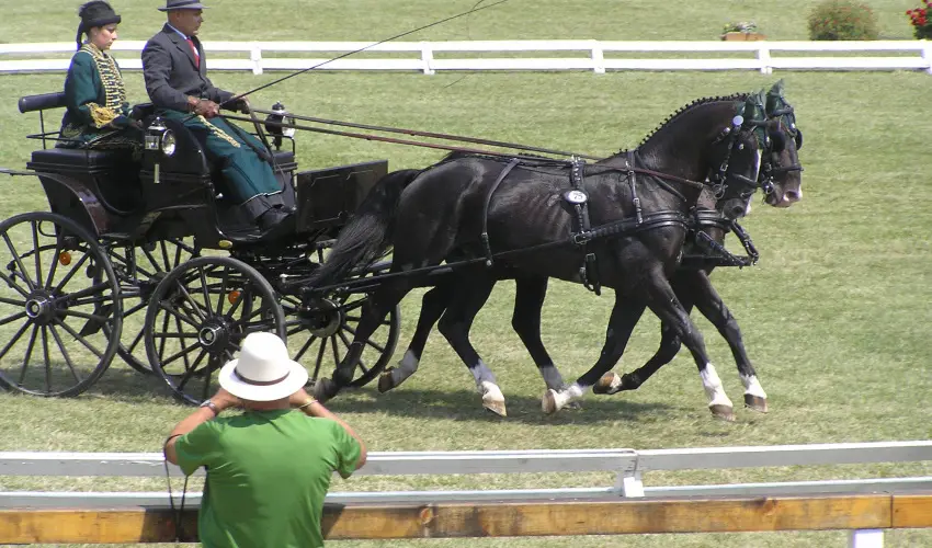Aliz Villa Szilvsvrad - Hsvt