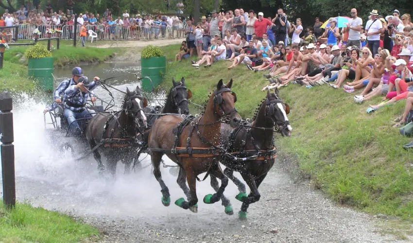 Aliz Villa Szilvsvrad - Hsvt