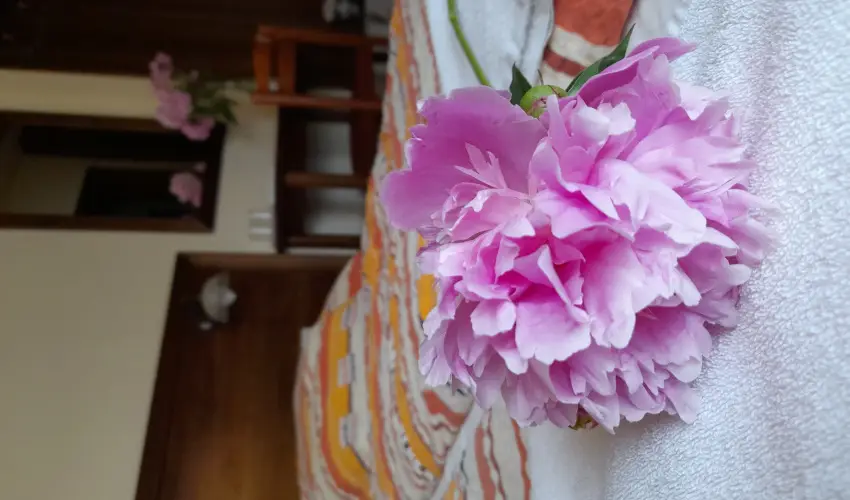 Aliz Villa Szilvsvrad - Hsvt