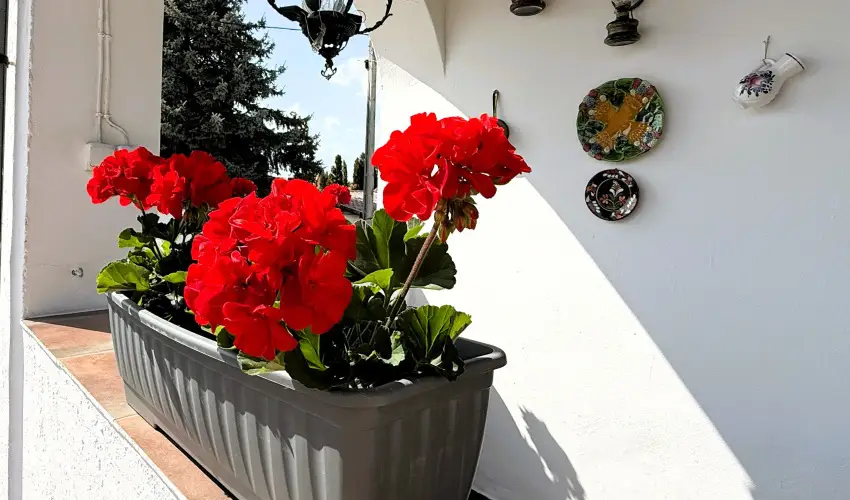 Harmony Vendghz Egerszalk - Hsvt (min. 2 j)