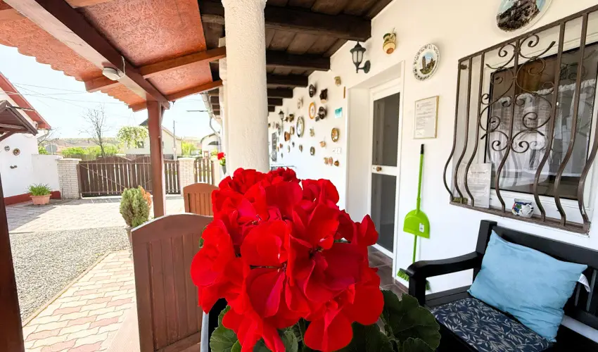 Harmony Vendghz Egerszalk - Hsvt (min. 2 j)