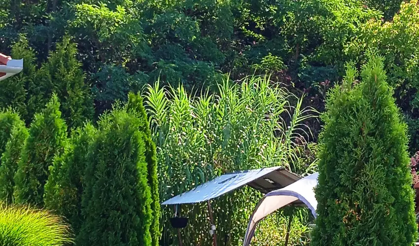 Harmony Vendghz Egerszalk - Hsvt (min. 2 j)