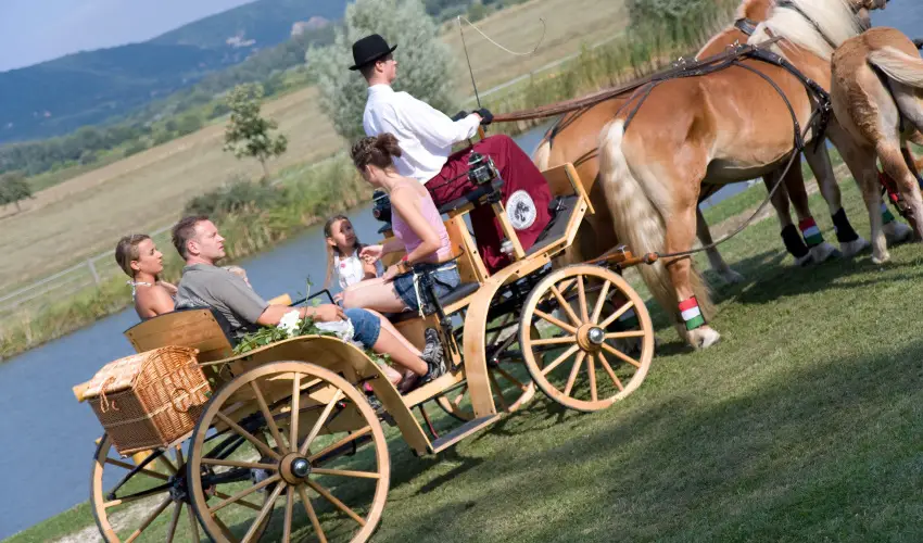 Htkti Wellness Hotel & Lovaspark Mr - Hsvt