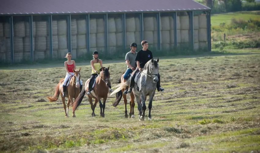 Htkti Wellness Hotel & Lovaspark Mr - Hsvt