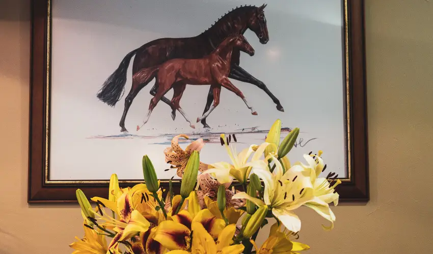 Htkti Wellness Hotel & Lovaspark Mr - Hsvt