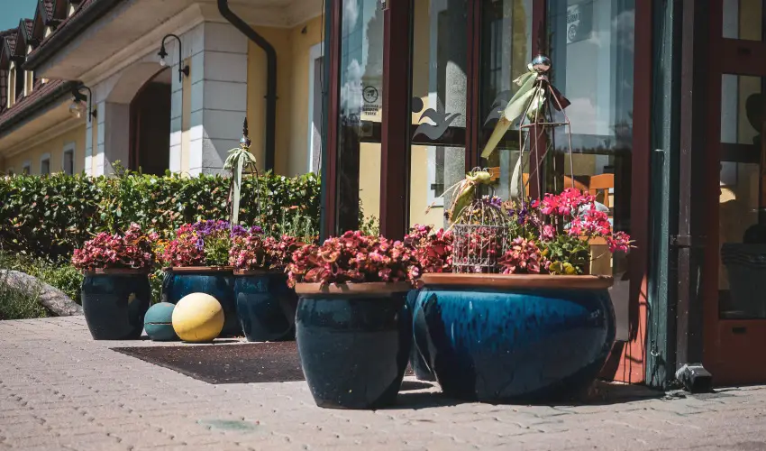 Htkti Wellness Hotel & Lovaspark Mr - Hsvt