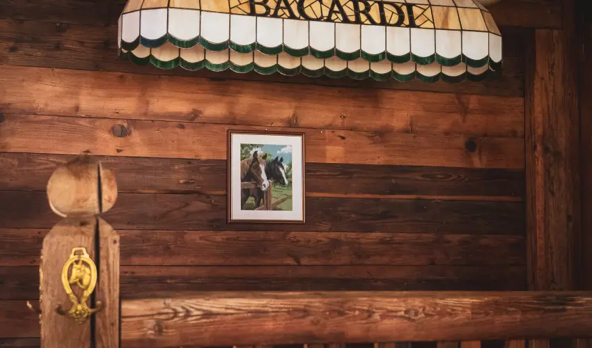 Htkti Wellness Hotel & Lovaspark Mr - Hsvt