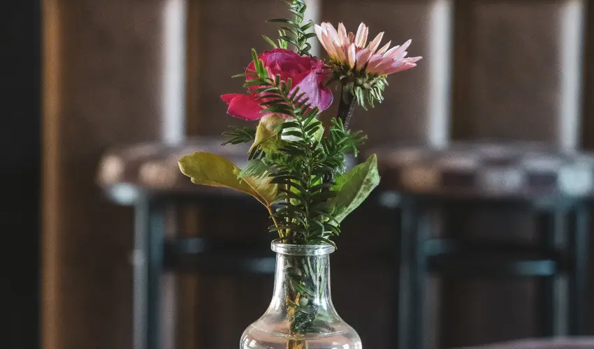 Htkti Wellness Hotel & Lovaspark Mr - Hsvt