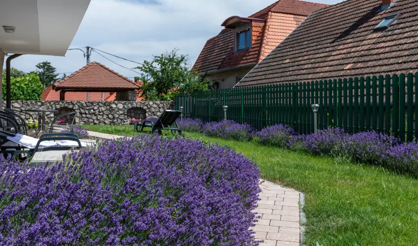 Holiday Club Apartman Hotel H�v�z H�v�z - H�sv�t (min. 2 �j)