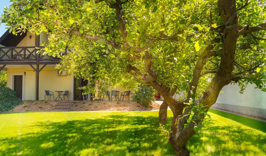 Honti Panzi Visegrd - Hsvt