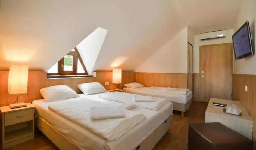 Honti Panzi Visegrd - Hsvt