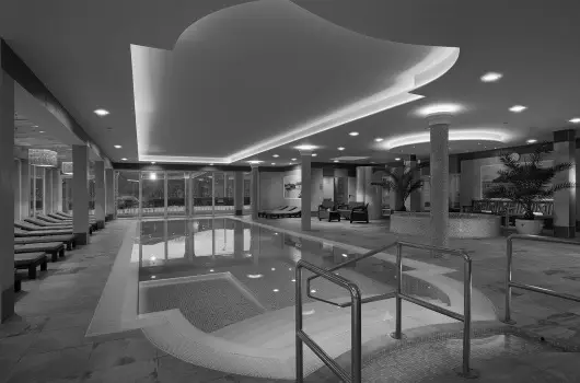 Honti Panzi� - H�sv�t