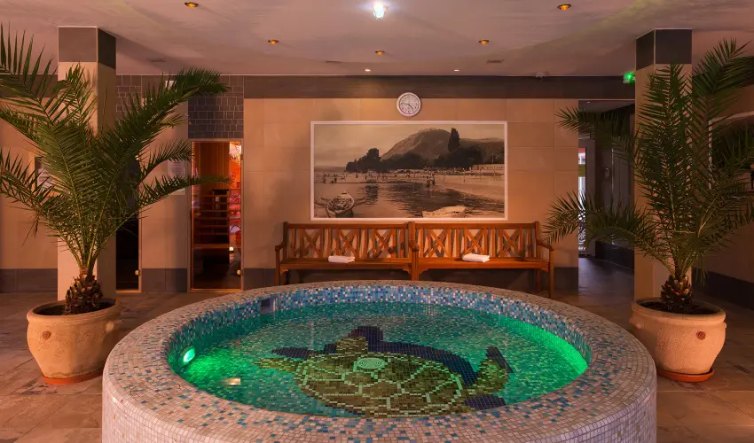 Honti Panzi Visegrd - Hsvt