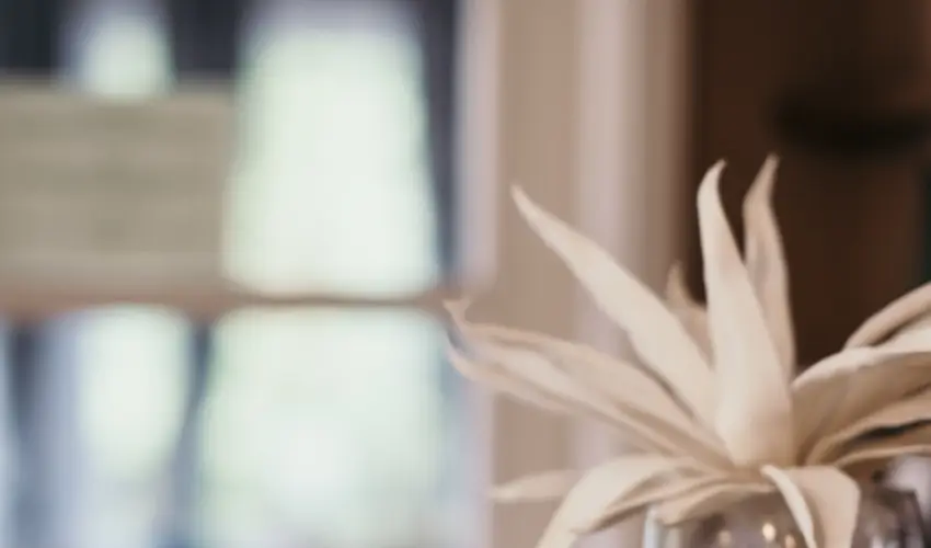 Hotel Arbor�tum Hark�ny - H�sv�t (min. 2 �j)