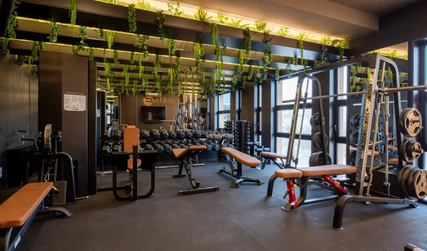 Hotel Bodrog Wellness & Elix Spa S�rospatak - H�sv�t (min. 3 �j)