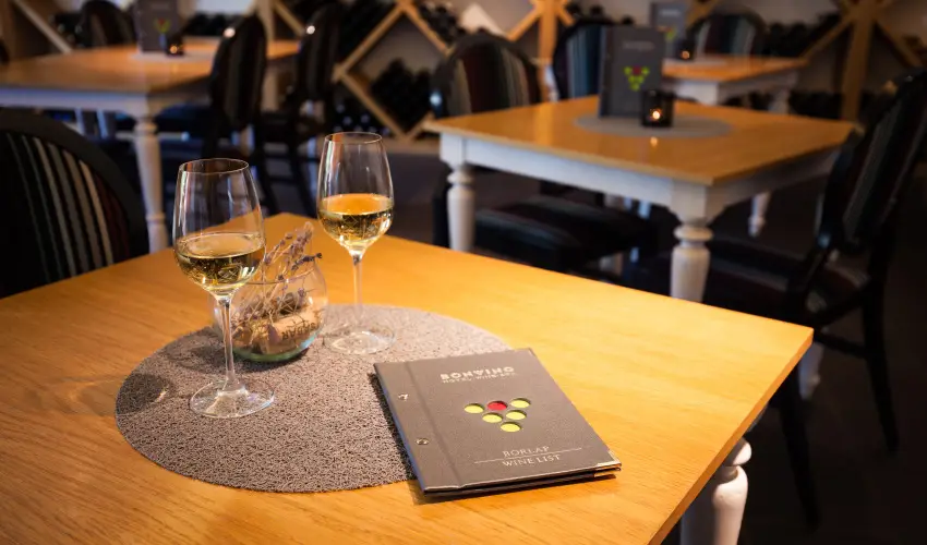 Hotel Bonvino Wine & Spa Badacsony - Hsvt