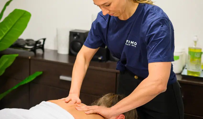 Hotel Bonvino Wine & Spa Badacsony - Hsvt