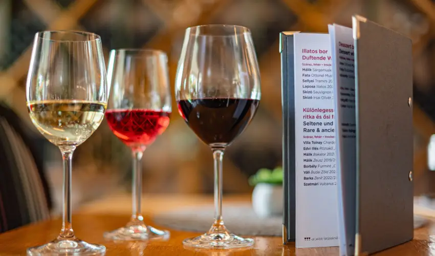 Hotel Bonvino Wine & Spa Badacsony - Hsvt