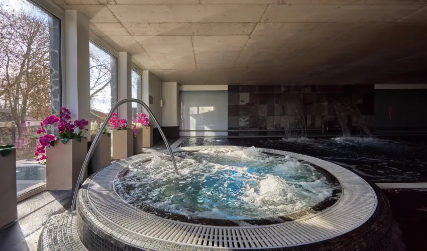 Hotel Bonvino Wine & Spa Badacsony - H�sv�t (min. 2 �j)