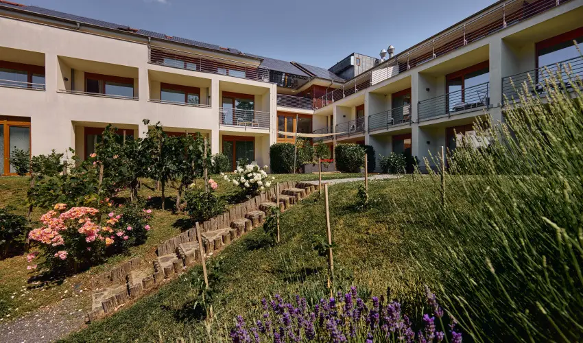 Hotel Bonvino Wine & Spa Badacsony - H�sv�t (min. 3 �j)