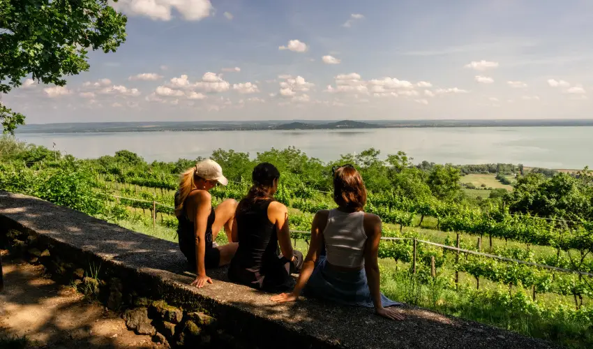 Hotel Bonvino Wine & Spa Badacsony - H�sv�t (min. 3 �j)