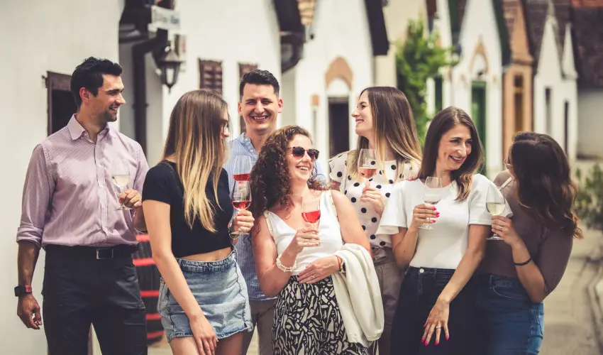 Hotel Cabernet Vill�nyk�vesd - H�sv�t (min. 4 �j)