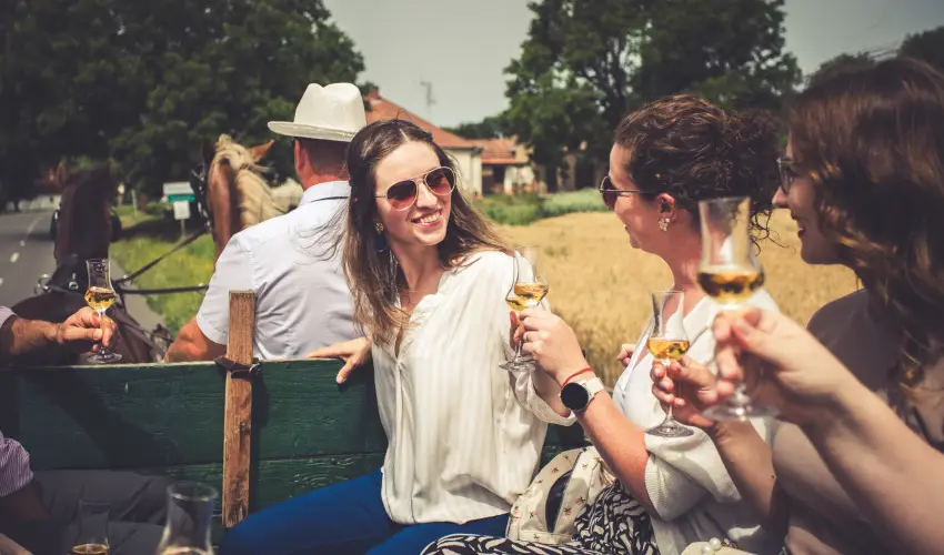 Hotel Cabernet Vill�nyk�vesd - H�sv�t (min. 4 �j)