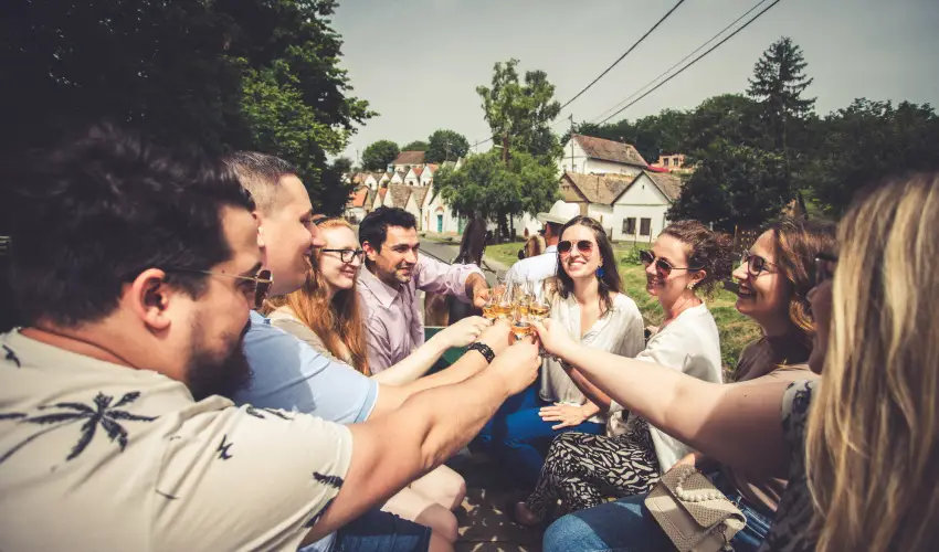 Hotel Cabernet Vill�nyk�vesd - H�sv�t (min. 4 �j)