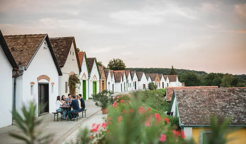 Hotel Cabernet Vill�nyk�vesd - H�sv�t (min. 4 �j)