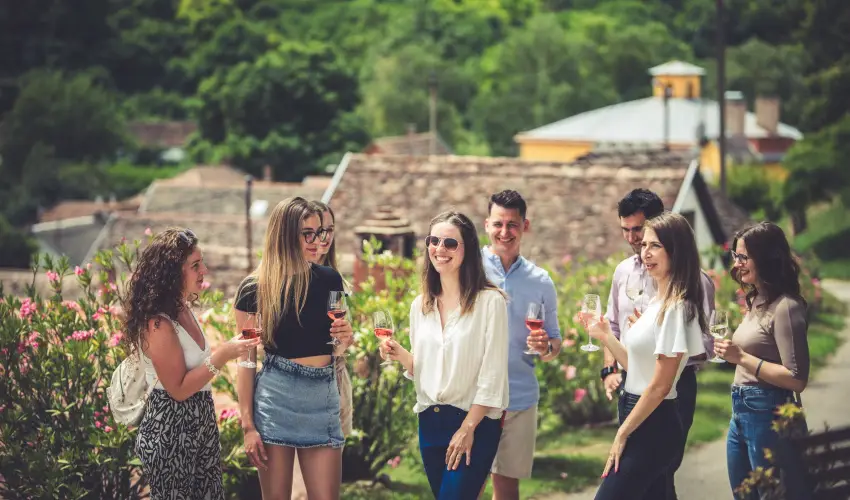 Hotel Cabernet Vill�nyk�vesd - H�sv�t (min. 4 �j)