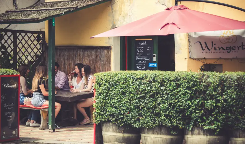 Hotel Cabernet Vill�nyk�vesd - H�sv�t (min. 4 �j)