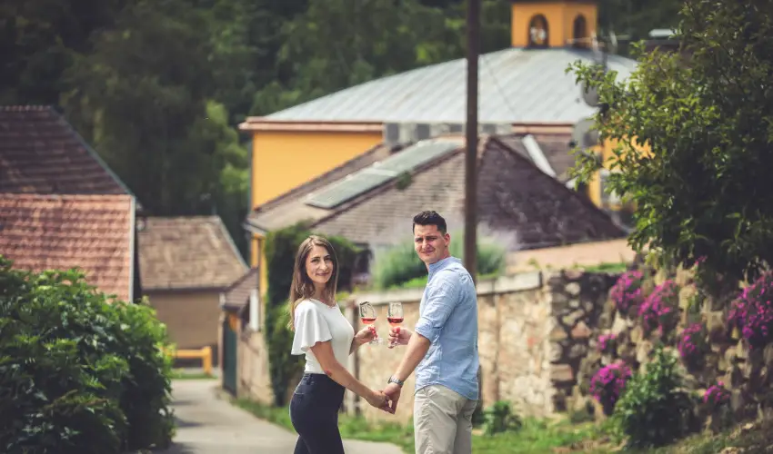 Hotel Cabernet Vill�nyk�vesd - H�sv�t (min. 4 �j)