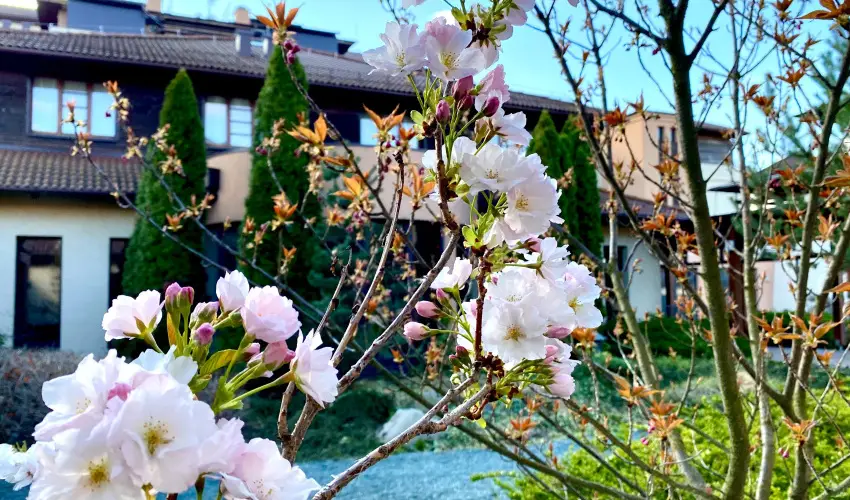 Caramell Premium Resort Bk, Bkfrd - Hsvt - teljes elrefizetssel (min. 3 j)