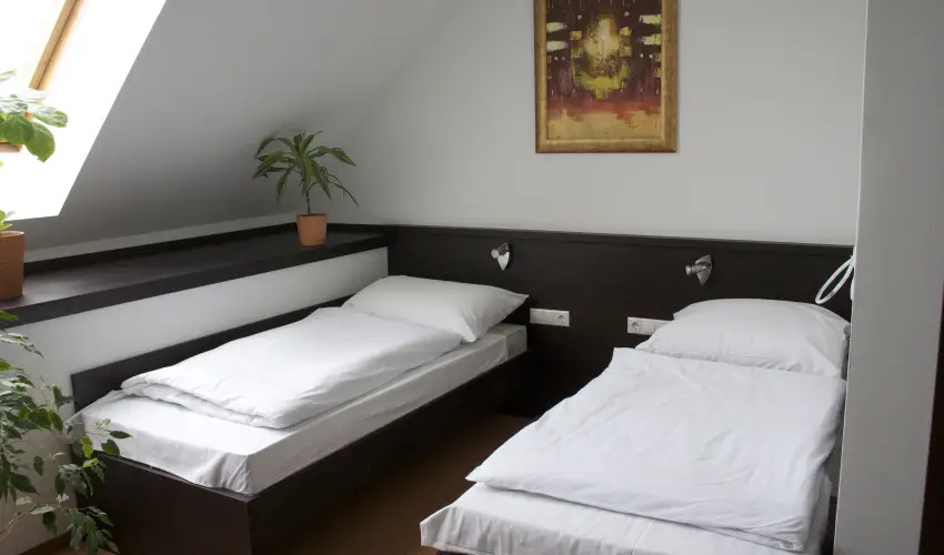 Hotel Centr�l Nagykanizsa - H�sv�t