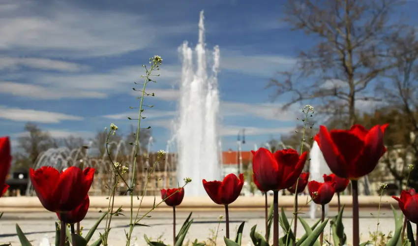 Hotel Centr�l Nagykanizsa - H�sv�t