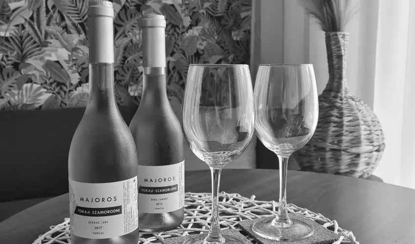 Hotel Csillag Tokaj Rakamaz - H�sv�t (min. 2 �j)