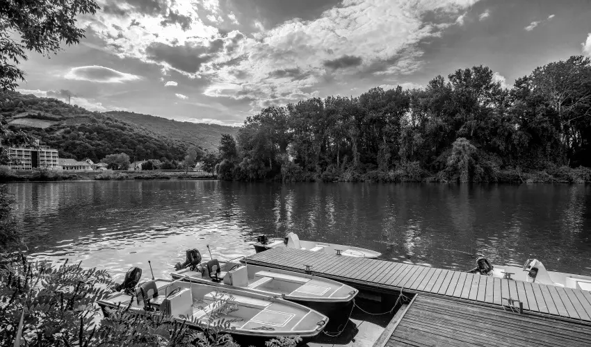 Hotel Csillag Tokaj Rakamaz - H�sv�t (min. 2 �j)