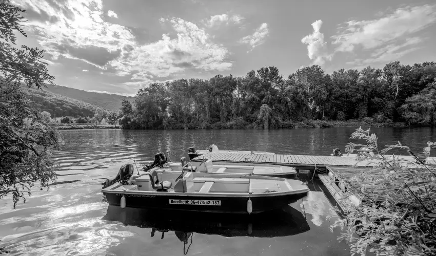 Hotel Csillag Tokaj Rakamaz - H�sv�t (min. 2 �j)