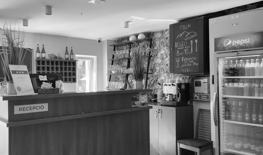 Hotel Csillag Tokaj Rakamaz - H�sv�t (min. 2 �j)