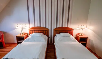 Hotel Erzs�bet H�v�z