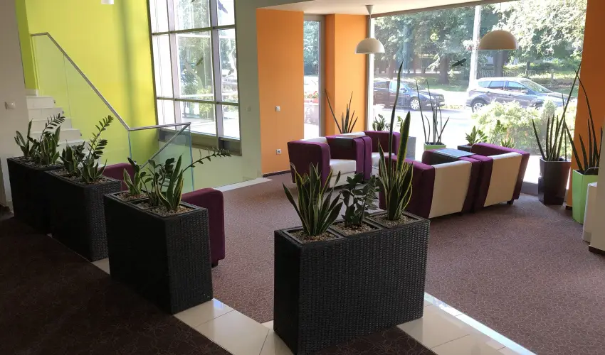 Hotel Eur�pa Gunaras Domb�v�r - H�sv�t (min. 3 �j)