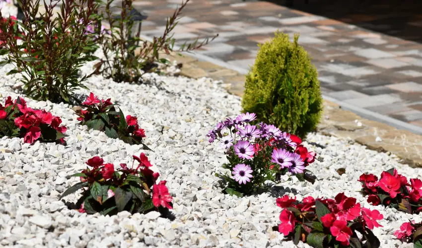 Hotel Forr�s Zalakaros Zalakaros - H�sv�t (min. 2 �j)