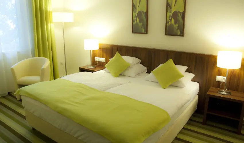 Hotel Ginkgo Hdmezvsrhely - Hsvt 