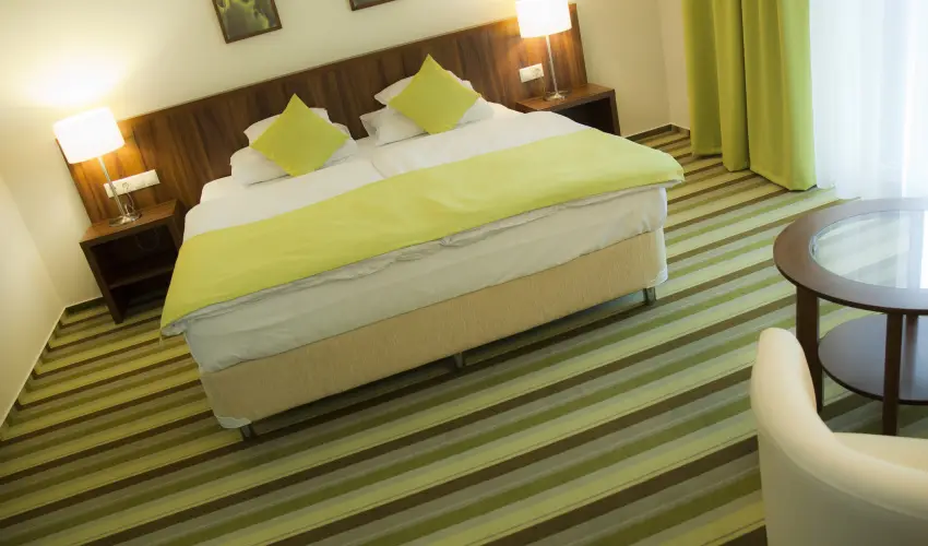 Hotel Ginkgo Hdmezvsrhely - Hsvt 