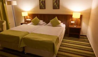 Hotel Ginkgo Hdmezvsrhely