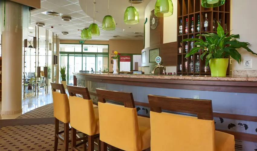 Hotel Ginkgo Hdmezvsrhely - Hsvt 