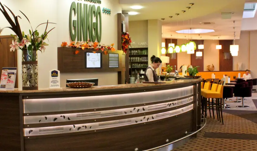 Hotel Ginkgo Hdmezvsrhely - Hsvt 