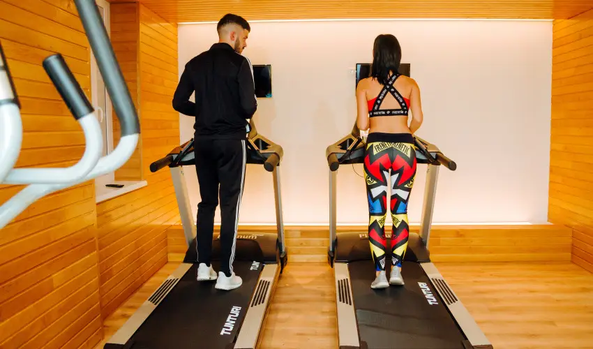 Hotel Ginkgo Hdmezvsrhely - Hsvt 