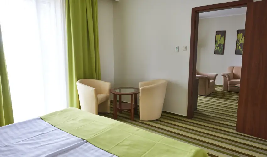 Hotel Ginkgo Hdmezvsrhely - Hsvt 